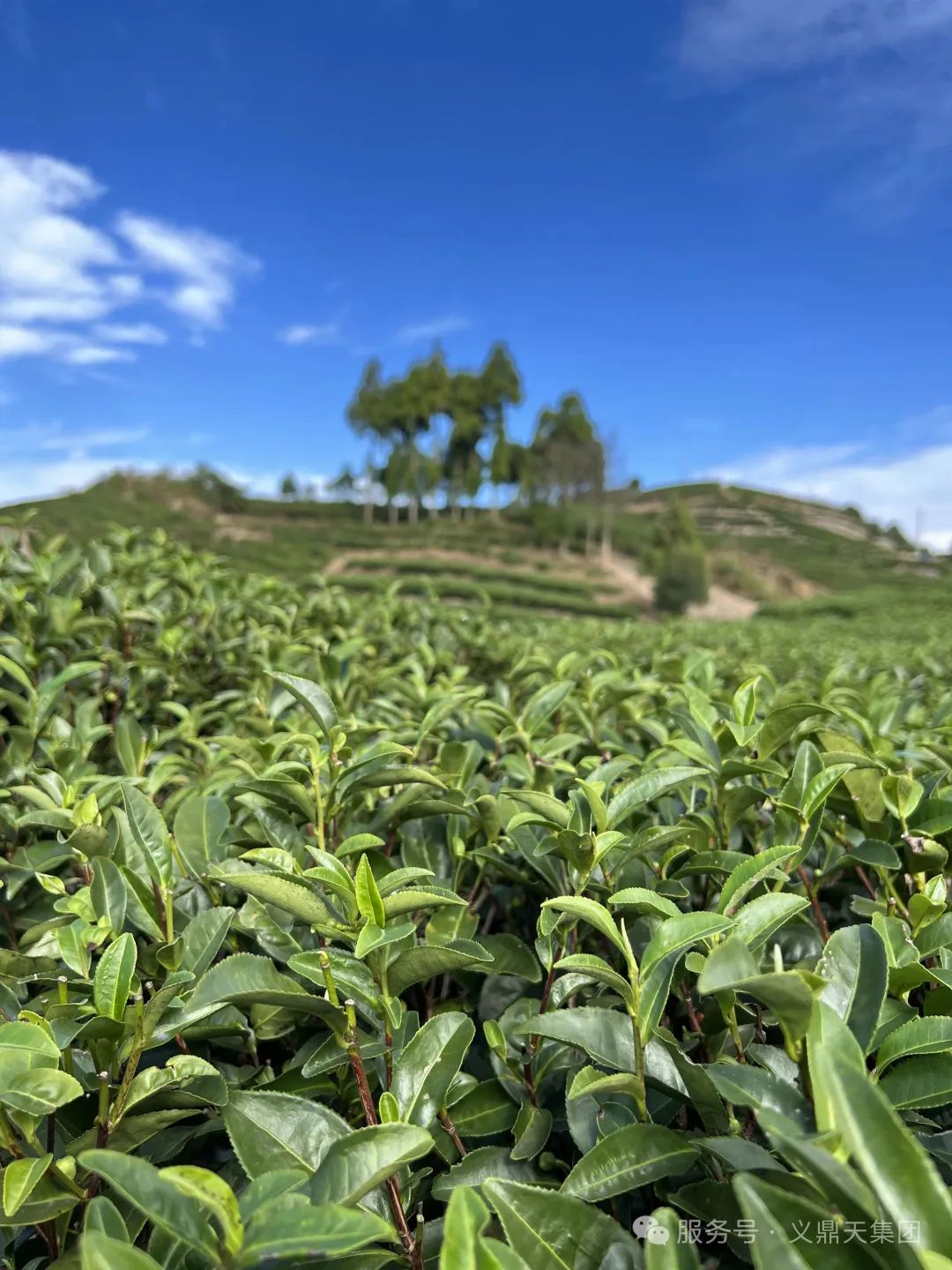 图片18.png 图片18.png