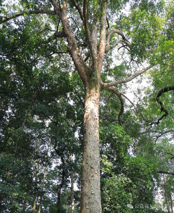 图片5.png 图片5.png