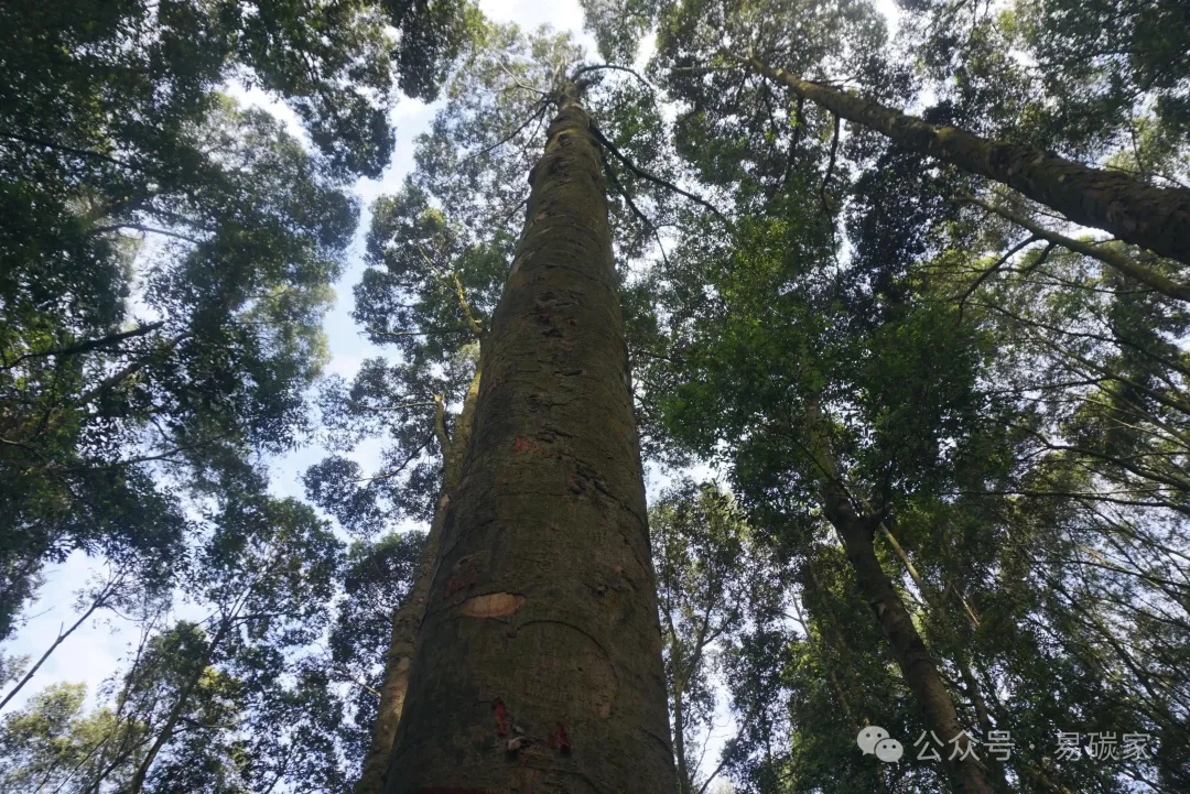 图片7.png 图片7.png