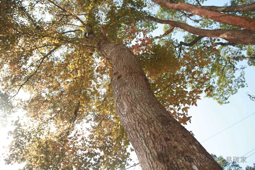 图片8.png 图片8.png