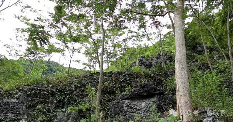 图片9.png 图片9.png