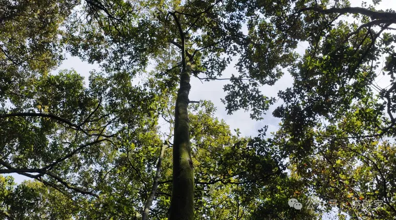 图片10.png 图片10.png