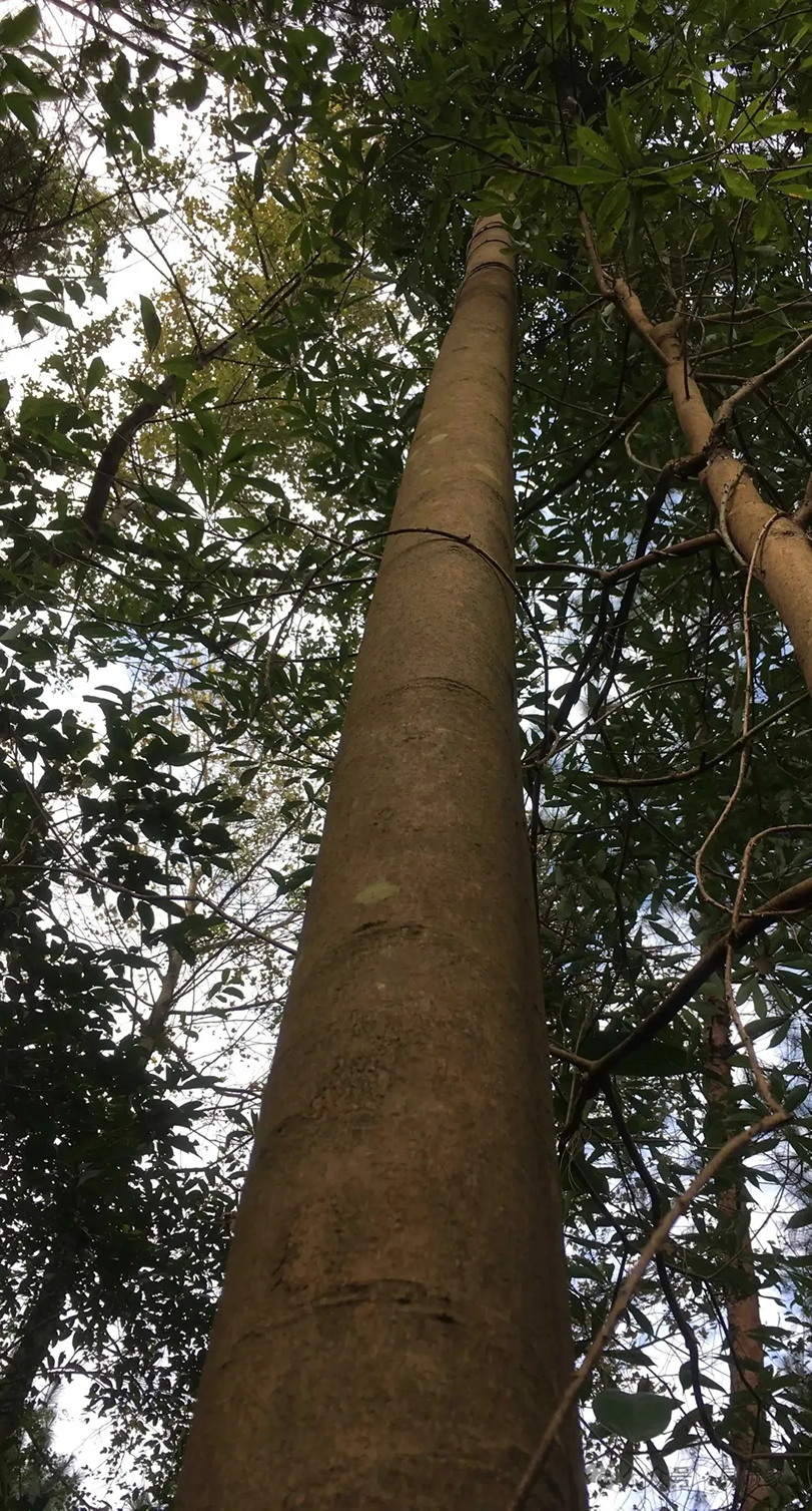 图片3@0.75x.png 图片3@0.75x.png